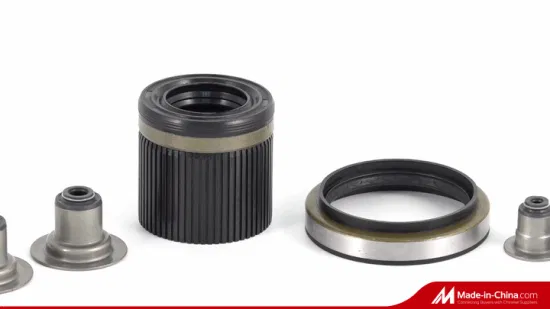 Oil Seal O Ring Gasket Rubber Parts Valve Stem Seal for Automotive Industry